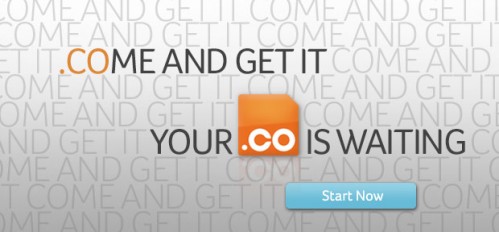 network solutions.co domain 499x232 4 Websites to buy .Co Domain Extension