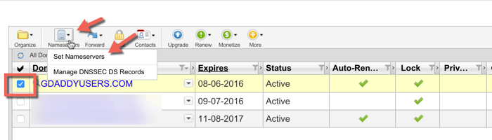 Godaddy Set nameserver