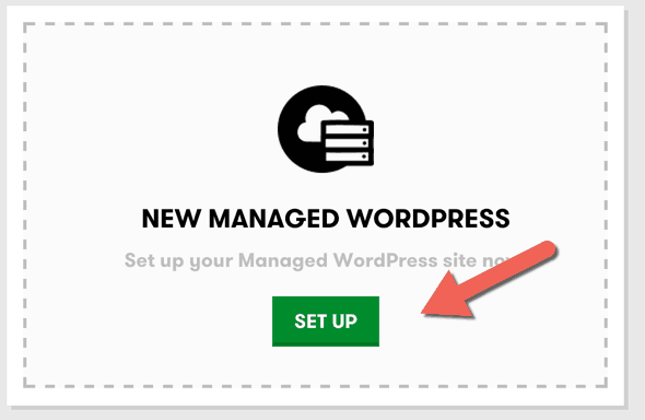 New managed WordPress Setup